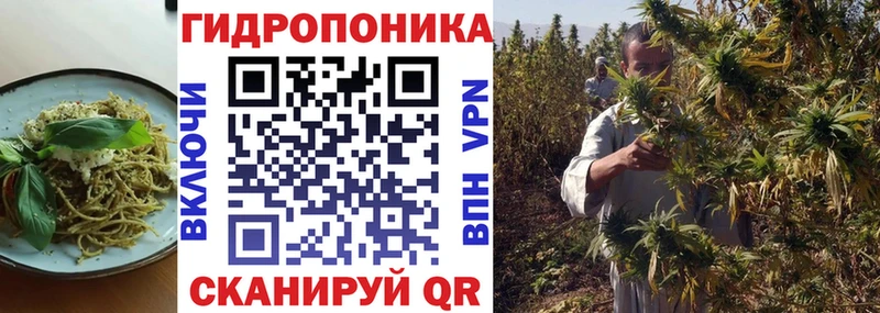 Печенье с ТГК конопля  OMG   Бабушкин  дарнет шоп 