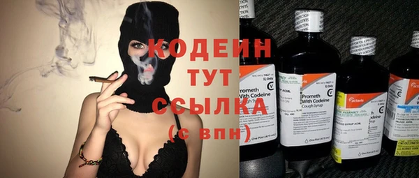 мяу мяу мука Арсеньев